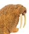 Safari Ltd Wild Safari Sea Life  Walrus  Realistic Hand Painted Toy Figurine Model  Quality Construction from Safe and BPA Free Materials  For Ages 3 and Up