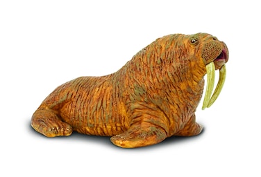 Safari Ltd Wild Safari Sea Life  Walrus  Realistic Hand Painted Toy Figurine Model  Quality Construction from Safe and BPA Free Materials  For Ages 3 and Up