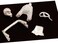 Woodland Scenics Pine Car Derby Windshield Kit