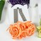 Paderno World Cuisine 3Blade Vegetable Slicer  Spiralizer CounterMounted and includes 3 Stainless Steel Blades
