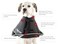 All Four Paws Comfy Cone Pet Cone for Dogs Cats XLarge Black  Comfortable Soft Dog Cone Collar Alternative for After Surgery Wound Care Spay Neuter  Dog and Cat Recovery Collar