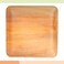 Verterra Palm leaf Plates  10 inch Square100 Pack  Like Bamboo Plates Disposable And Ecofriendly Dinnerware Dessert Plates for Bulk Events Dinner Party Plates Weddings