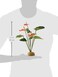 Exo Terra Anthurium Bush Terrarium Plant