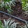 Raindrip 015005T 14Inch by 50Foot Soaker Hose Tubing for Drip Irrigation Use in Vegetable Garden Planters and Borders 50Foot Black