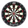 DMI Sports DMI Bandit Staplefree Bristle Dartboard