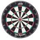 DMI Sports DMI Bandit Staplefree Bristle Dartboard