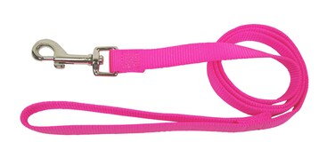 Hamilton Single Thick Deluxe Nylon Lead with Swivel Snap 58Inch by 6Feet Hot Pink
