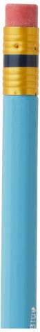 Prismacolor ColErase Erasable Colored Pencils NonPhoto Blue 12Count  20028