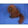 Hansa 4337 Plush