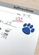 Teacher Created Resources 120 Blue Paw Prints Stickers 5747