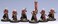 Privateer Press  Hordes  Skorne Venators Unit Box Model Kit