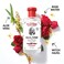 Thayers Rose Petal Witch Hazel with Aloe Vera  12 oz2 pack