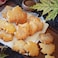Fox Run Maple Leaf Fall Cookie Cutters 5 piece Silver