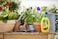 MiracleGro Liquid All Purpose Plant Food Fertilizer for Live Plants Perfect for House Plants Flowers and Trees 32 oz