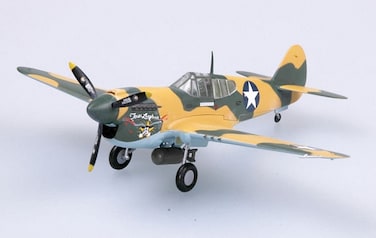Easy Model P40E Tomahawk 9FS 49FG 1941 Model Kits