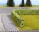 Noch 21512 Hedge Light Grn 15X8Mm 2 H0TtN Scale Model Kit