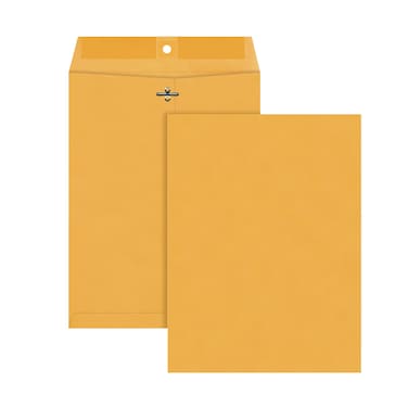 Quality Park 9 x 12 Clasp Envelopes with Deeply Gummed Flaps Great for Filing Storing or Mailing Documents 28 lb Brown Kraft 250 per Box 37590