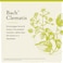 Bach Original Flower Remedies Clematis for Focus and Concentration Natural Homeopathic Flower Essence Holistic Wellness and Stress Relief Vegan 20mL Dropper