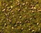 Noch 8360 Scatter Mtrl Stny Mtn Mdw G0H0TTNZ Scale