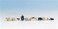 Noch 36750 ShepherdDog  Sheep 11 N Scale Figures