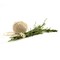 Norpro Cotton Twine White 22073 yd