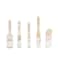 Zibra 5Piece DIY Paint Brush Set with Detail and 2inch Paint Brushes for Walls Trim and Furniture White