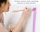 Zibra 5Piece DIY Paint Brush Set with Detail and 2inch Paint Brushes for Walls Trim and Furniture White