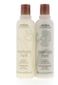 Aveda Rosemary Mint Shampoo  Conditioner Duo 85 oz