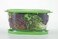 Prep Solutions by Progressive Lettuce Keeper Produce Storage Container 47 Quarts