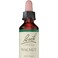 Bach Flower Remedies White Chestnut 20 mL