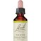 Bach Flower Remedies White Chestnut 20 mL