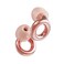 Loop Experience Ear Plugs for Concerts  High Fidelity Hearing Protection for Noise Reduction Motorcycles Work  Noise Sensitivity  8 Ear Tips in XS S M L  18dB Noise Cancelling  Rosegold