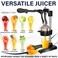 Eurolux Cast Iron Citrus Juicer  ExtraLarge Commercial Grade Manual Hand Press  Heavy Duty Countertop Squeezer for Fresh Orange Juice Bonus Stainless Steel Cup Black