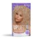 SoftSheenCarson Interbeauty Dark and Lovely Uplift Bleaching Kit with Powder Developer and Toner for Blonde Hair