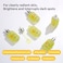 ELT Vita Youth Vitamin C Serum 169floz50ml  Multi Vitamin C Skin Soothing and Calming Effect  Skin Damage Protection Strengthen Skin Barrier  Turns Skin Clearer Korean Skin Care