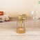 Sunnytech Mini Hot Live Steam Engine Model Education Toy DIY BJ001