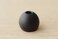 Final Audio Design Adagio III Noir Dynamic Driver Earphones