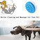 Cellulite Massager Brush Bathroom Massager Brush Body Massage for Women for Arms Legs Bathroom Shower BrushBlue