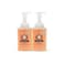 Moon Valley Herbal Foaming Hand Soap Grapefruit Thyme 2 Pack Vegan Recyclable Bottle