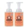 Moon Valley Herbal Foaming Hand Soap Grapefruit Thyme 2 Pack Vegan Recyclable Bottle