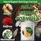 Lymphatic Drainage Ginger Foot SoakLeg Slimming Foot BathWormwood Ginger Foot Bath BagFoot Reflexology Relieve Calf Muscles Relax Massage Pack Sleep Improval 20 PCS