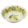 Certified International Lemon Zest 12 pc Melamine Dinnerware Set Service for 4 Multicolor