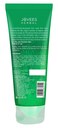 Jovees Tea Tree Oil Control Face Wash for Oily and Sensitive Skin Ayurvedic 120 millilitre