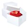 8x8x5 White Cake box Premium Bakery Boxes One piece Perfect for packaging and selling cakes donuts cookies and muffins 25 ct