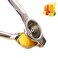 Stickit Graphix Lemon SqueezerHandheld Stainless Steel Manual Citrus Juicer for OrangeLimeFruit Silver