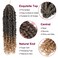 Passion Twist Hair  8 Packs 12 Inch Passion Twist Crochet Hair For Women Crochet Pretwisted Curly Hair Passion Twists Synthetic Braiding Hair Extensions 12 Inch 8 Packs T27
