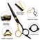 Hair Scissors11Pcs Professional Black Gold Hair Cutting Scissors Shears SetsStainless Steel Barber Scissors SuppliesStraight Shears Thinning Shears Multi Use Haircut Sets for Home Salon Barber