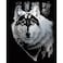 ROYAL BRUSH Silver Foil Engraving Art Kit 8 by 10Inch Dragon Wolf Black
