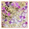 Beistle Diva Confetti