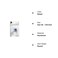 Dritz 1436 Cover Button Kit with Tools Size 36  78Inch 4Piece
